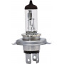 Ampoule UNIVERSEL B2446