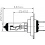 Ampoule UNIVERSEL B2423