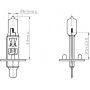 Ampoule UNIVERSEL B2424