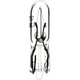 Ampoule UNIVERSEL B2427