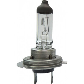 Ampoule UNIVERSEL B2438
