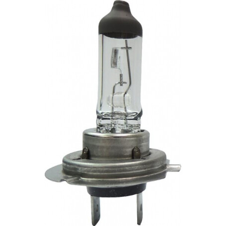 Ampoule UNIVERSEL B2438