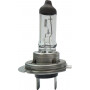 Ampoule UNIVERSEL B2438