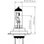 Ampoule UNIVERSEL B2438