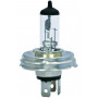 Ampoule UNIVERSEL B1254
