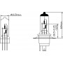 Ampoule UNIVERSEL B1210