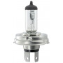 Ampoule UNIVERSEL KRGL120645P001