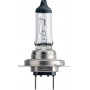Ampoule PHILIPS GL12972PRB1