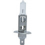 Ampoule UNIVERSEL B1208
