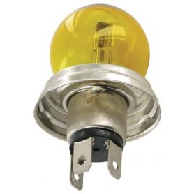 Ampoule SAFRA GL12018