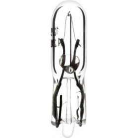 Ampoule UNIVERSEL B1207