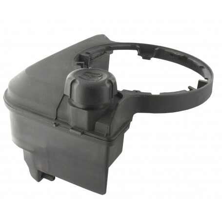 Réservoir à essence BRIGGS ET STRATTON 699374