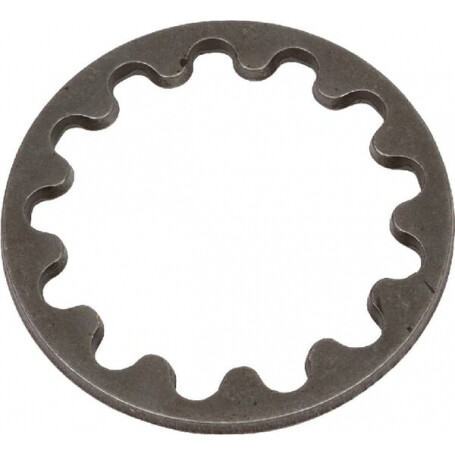 Rondelle de pression CARRARO CI140023