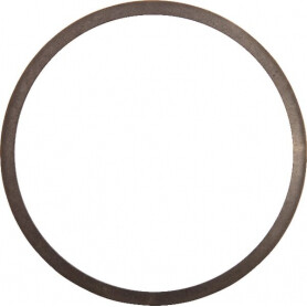 Rondelle de réglage AGRIA AGW73600