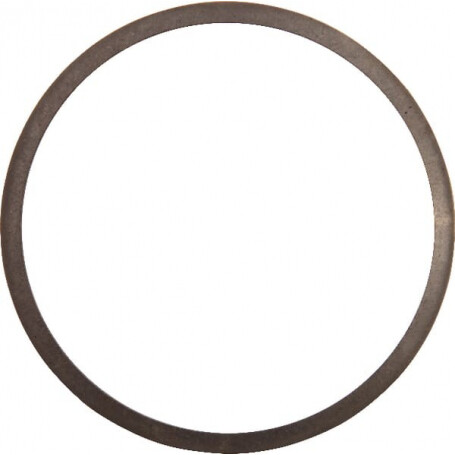 Rondelle de réglage AGRIA AGW73600