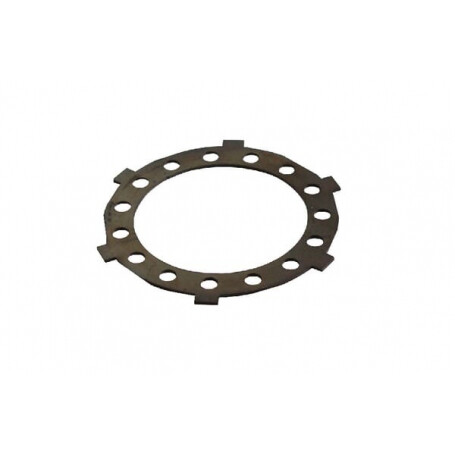 Lamelle d'embrayage externe AGRIA AGW62454