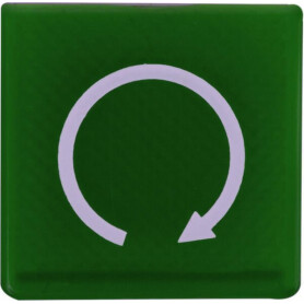 Symbole vert démarrage moteur HELLA 9XT714300381