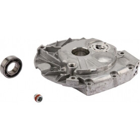 Carter de protection BRIGGS ET STRATTON 592941