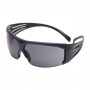 Lunette de sécurité 3M SF602SGAF