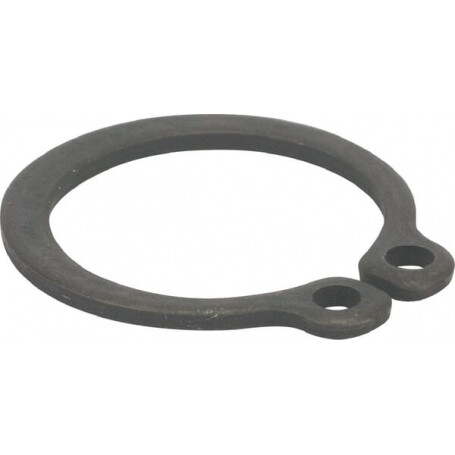 Circlip ETESIA ET34339