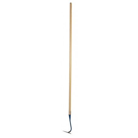 Binette DE WIT 3514S