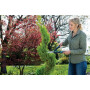 Taille-haie GARDENA GA12302