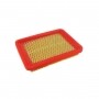 Filtro aria motore CHINOIS FAMC02