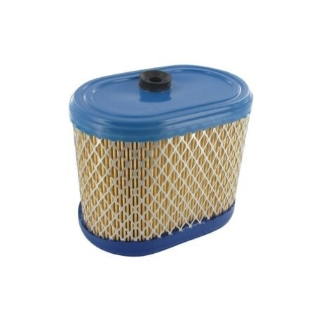 Filtro aria BRIGGS et STRATTON 695302