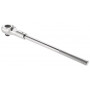 Cliquet EXPERT E113819