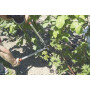 Coupe-branches FELCO ES88200A60
