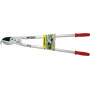 Coupe branches BERGER 4255BER