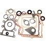 Joints moteur BRIGGS ET STRATTON 495993