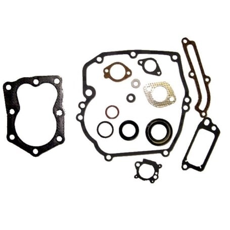 Dichtungssatz motor BRIGGS et STRATTON 496117