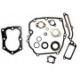 Dichtungssatz motor BRIGGS et STRATTON 496117