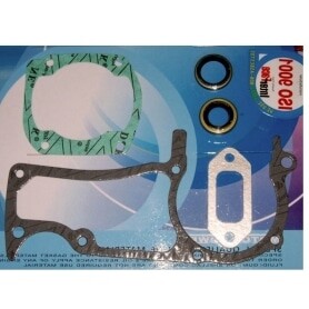Joints moteur HUSQVARNA 503647201