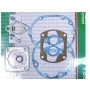 Dichtungssatz motor Robin 107-99001-07 - 1079900107