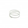 Ressort de membrane BRIGGS et STRATTON 692206 - 260455