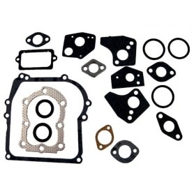 Joints moteur BRIGGS ET STRATTON 297275 - 397144 - 495602