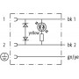 Câble MURR ELEKTRONIK 10021MSUDB