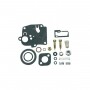 Kit membranas juntas BRIGGS et STRATTON 494623