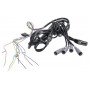 Câble pour système de caméra UNIVERSEL CAS66124KR
