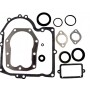 Joints moteur BRIGGS ET STRATTON 490525 - 494241