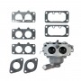 Vergaser BRIGGS et STRATTON 791230 für INTEK TWIN 18 cv