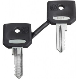 Jeu de clés SCHNEIDER-ELECTRIC ZBG455