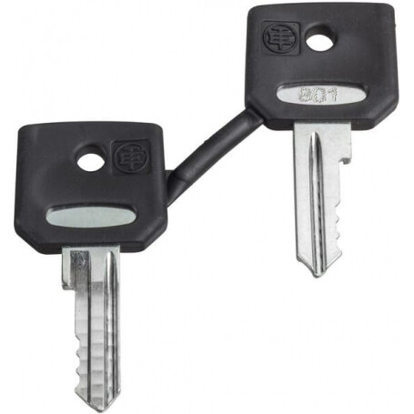 Jeu de clés SCHNEIDER-ELECTRIC ZBG455