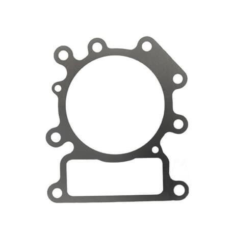 Guarnizione testa BRIGGS et STRATTON 794114