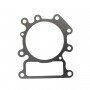 Guarnizione testa BRIGGS et STRATTON 794114