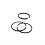 Segmenti BRIGGS et STRATTON 298983 modelli 90000 96000 - 92000 - 130000 131300