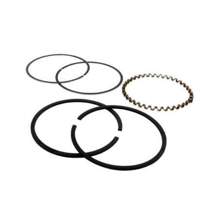 Segments BRIGGS et STRATTON 391783 - 394962