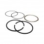 Segments BRIGGS et STRATTON 391783 - 394962